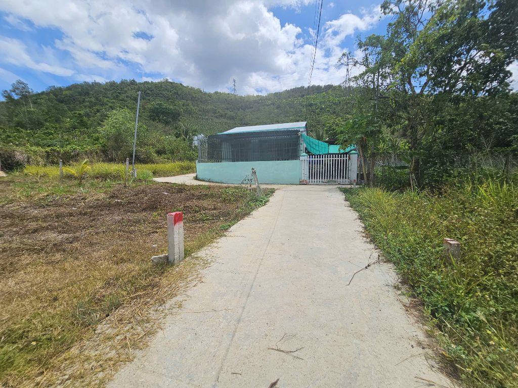 Bán đất Diên Tân full thổ giá rẻ sát bên Hương Lộ 62 đối diện công ty Đảnh Thạnh đi vào