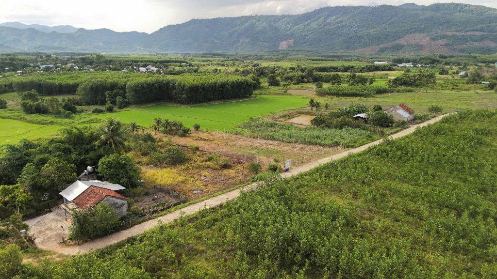Bán đất Khánh Bình giá rẻ có thổ cư sát bên Tỉnh Lộ 8 - tặng vườn cây trái view cánh đồng