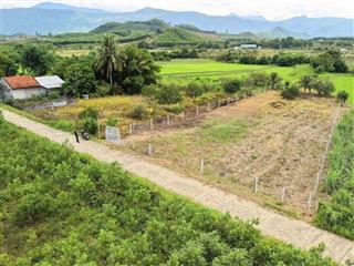 Bán đất Khánh Bình giá rẻ có thổ cư sát bên Tỉnh Lộ 8 - tặng vườn cây trái view cánh đồng