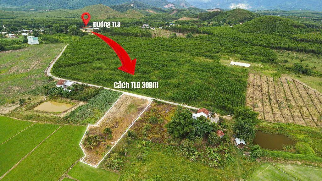Bán đất Khánh Bình giá rẻ có thổ cư sát bên Tỉnh Lộ 8 - tặng vườn cây trái view cánh đồng