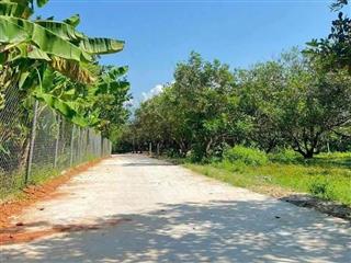 Bán đất Diên Lâm giá rẻ sát bên Hương Lộ 39 - thôn Thượng cách chợ Uỷ ban chỉ 3 phút