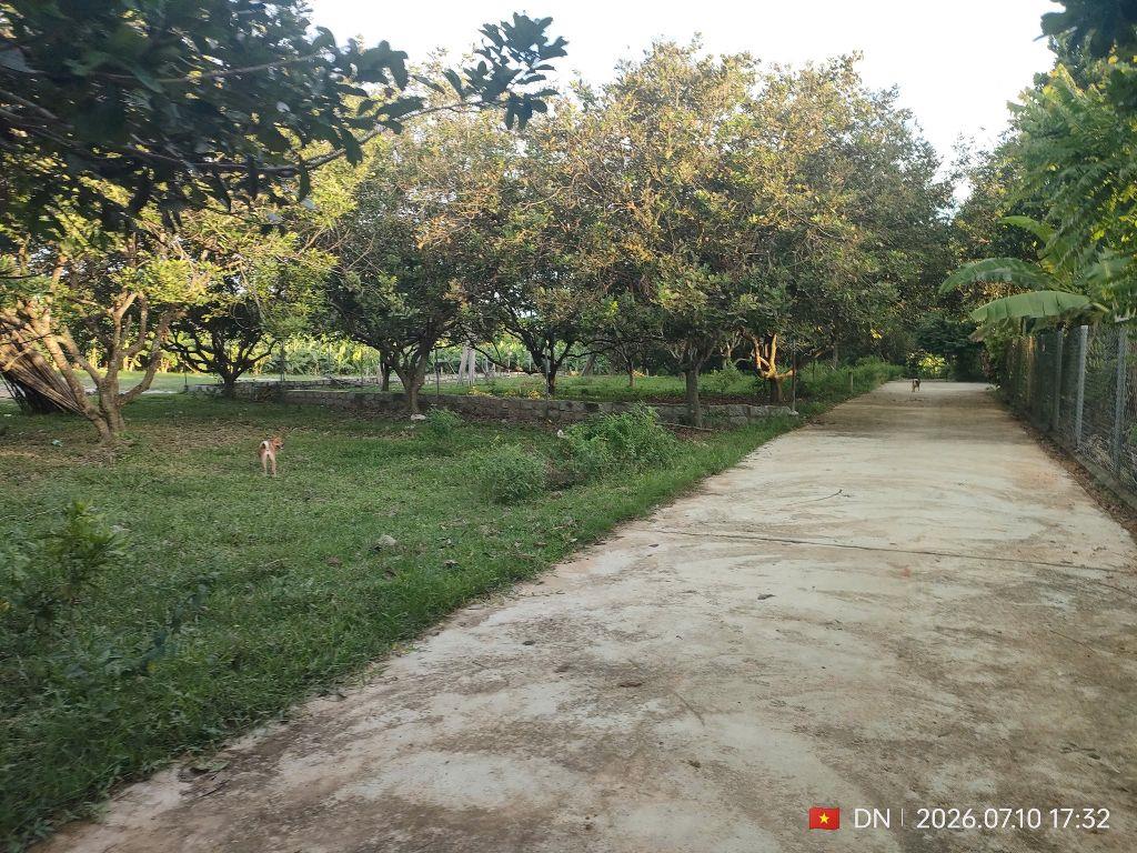 Bán đất Diên Lâm giá rẻ sát bên Hương Lộ 39 - thôn Thượng cách chợ Uỷ ban chỉ 3 phút