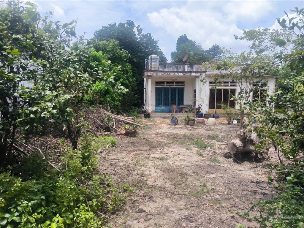 Bán gấp siêu rẻ đất mặt tiền đường sông lu, hòa phú, củ chi. 3021m2, 21,5 tỷ