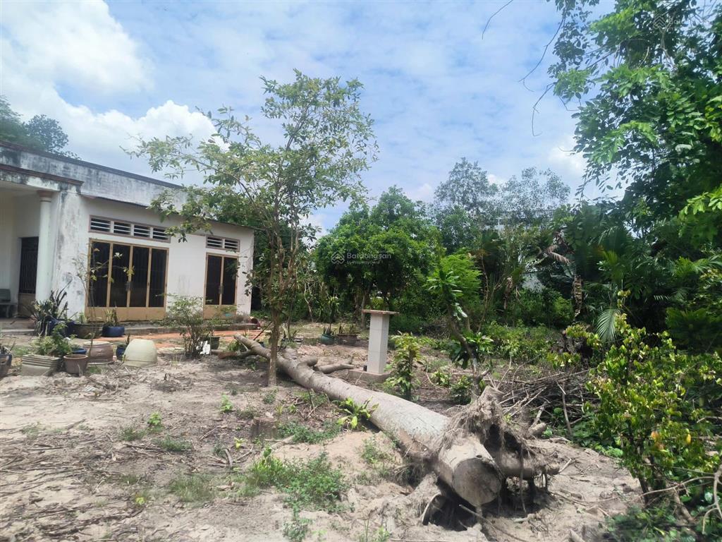 Bán gấp siêu rẻ đất mặt tiền đường sông lu, hòa phú, củ chi. 3021m2, 21,5 tỷ