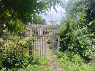 Bán gấp rẻ nhất thị trường đất mặt tiền đường sông lu, hòa phú, củ chi. 3021m2, 31 tỷ