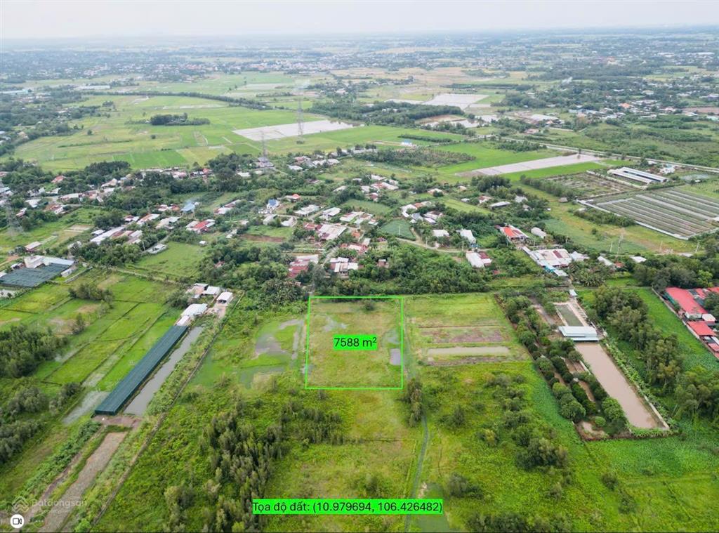 Bán đất vườn thái mỹ, củ chi  tiềm năng sinh lời cao. giá 18,5 tỷ