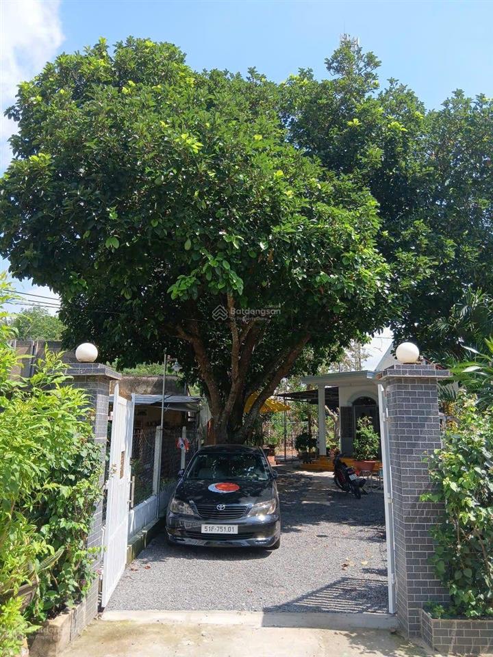 Nhà vườn tâm huyết 445m² giữa lòng xuân mỹ  sổ riêng, nhà đẹp, vườn xanh mát | giá 3,5 tỷ