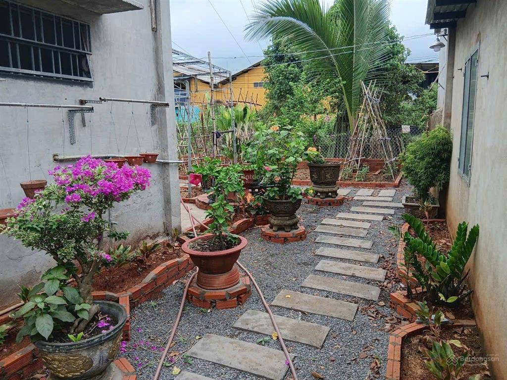 Nhà vườn tâm huyết 445m² giữa lòng xuân mỹ  sổ riêng, nhà đẹp, vườn xanh mát | giá 3,5 tỷ