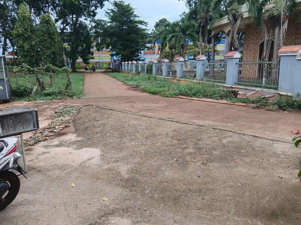 Nhà vườn tâm huyết 445m² giữa lòng xuân mỹ  sổ riêng, nhà đẹp, vườn xanh mát | giá 3,5 tỷ