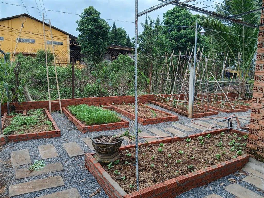 Nhà vườn tâm huyết 445m² giữa lòng xuân mỹ  sổ riêng, nhà đẹp, vườn xanh mát | giá 3,5 tỷ