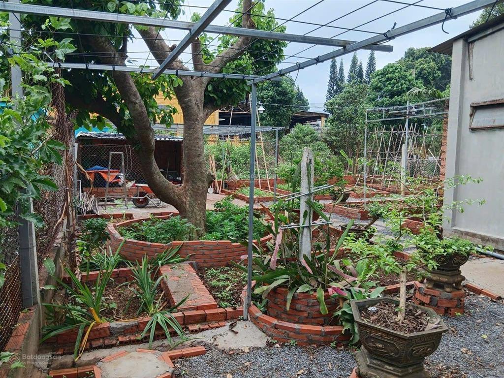 Nhà vườn tâm huyết 445m² giữa lòng xuân mỹ  sổ riêng, nhà đẹp, vườn xanh mát | giá 3,5 tỷ