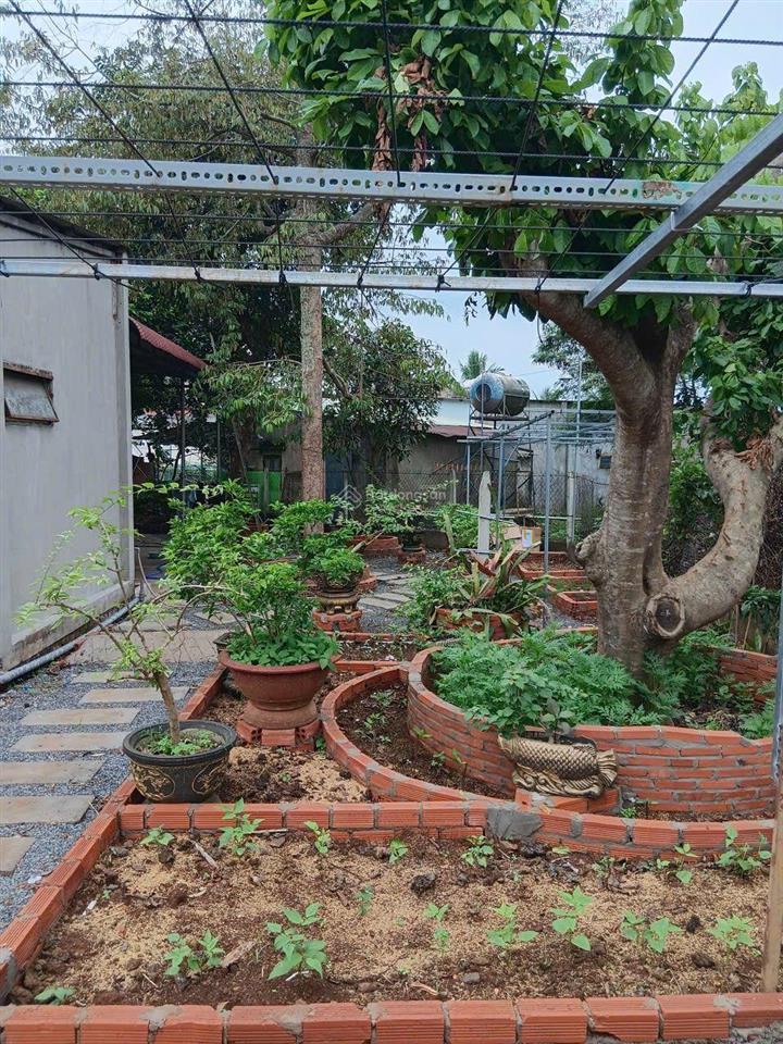 Nhà vườn tâm huyết 445m² giữa lòng xuân mỹ  sổ riêng, nhà đẹp, vườn xanh mát | giá 3,5 tỷ