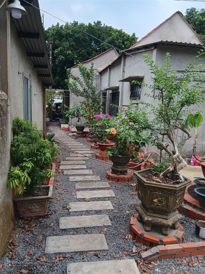 Nhà vườn tâm huyết 445m² giữa lòng xuân mỹ  sổ riêng, nhà đẹp, vườn xanh mát | giá 3,5 tỷ