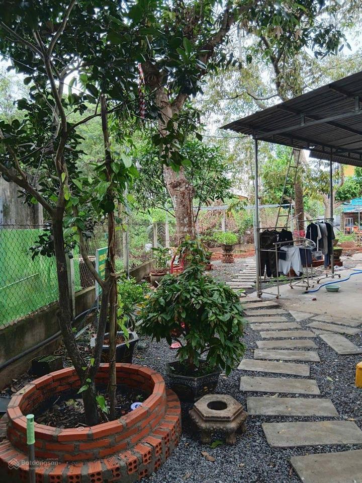 Nhà vườn tâm huyết 445m² giữa lòng xuân mỹ  sổ riêng, nhà đẹp, vườn xanh mát | giá 3,5 tỷ