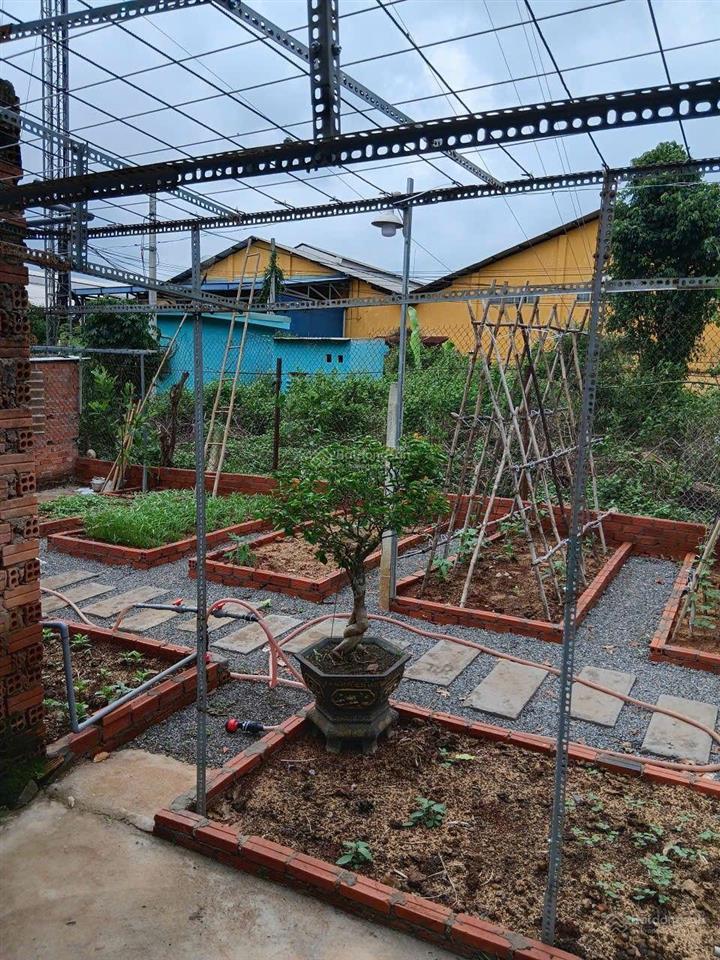 Nhà vườn tâm huyết 445m² giữa lòng xuân mỹ  sổ riêng, nhà đẹp, vườn xanh mát | giá 3,5 tỷ