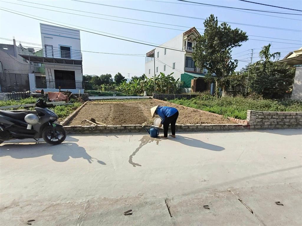 520 triệu = 80m2 đất lạc thủy, an nghĩa mới
