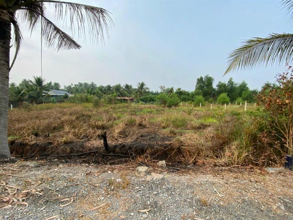 Bán đất giá siêu hời tại đt 823, hòa khánh tây, đức hòa, 1,25 tỷ, 510m2