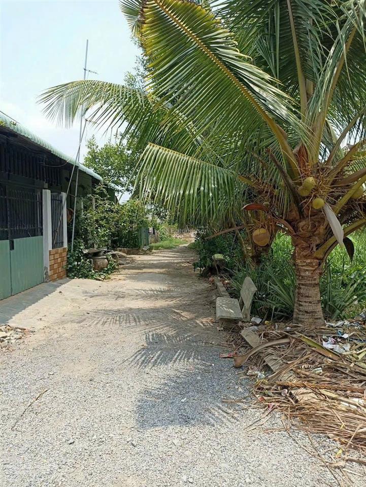 Bán đất giá siêu hời tại đt 823, hòa khánh tây, đức hòa, 1,25 tỷ, 510m2