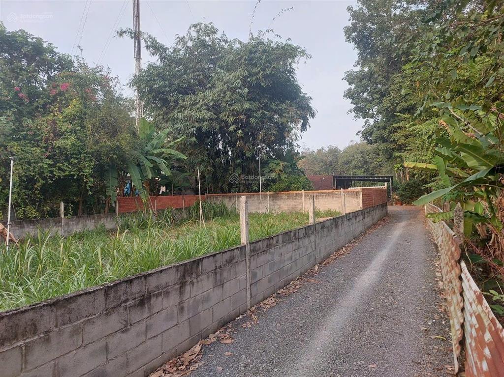 Bán gấp lô đất 552,8m² mặt tiền đường tỉnh lộ 15 củ chi
