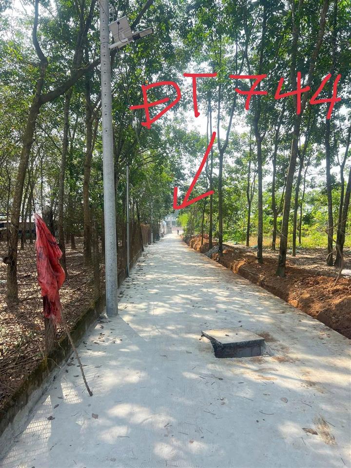 Đất phường tây nam,bến cát, bình dương