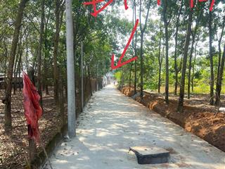 Đất phường tây nam,bến cát, bình dương