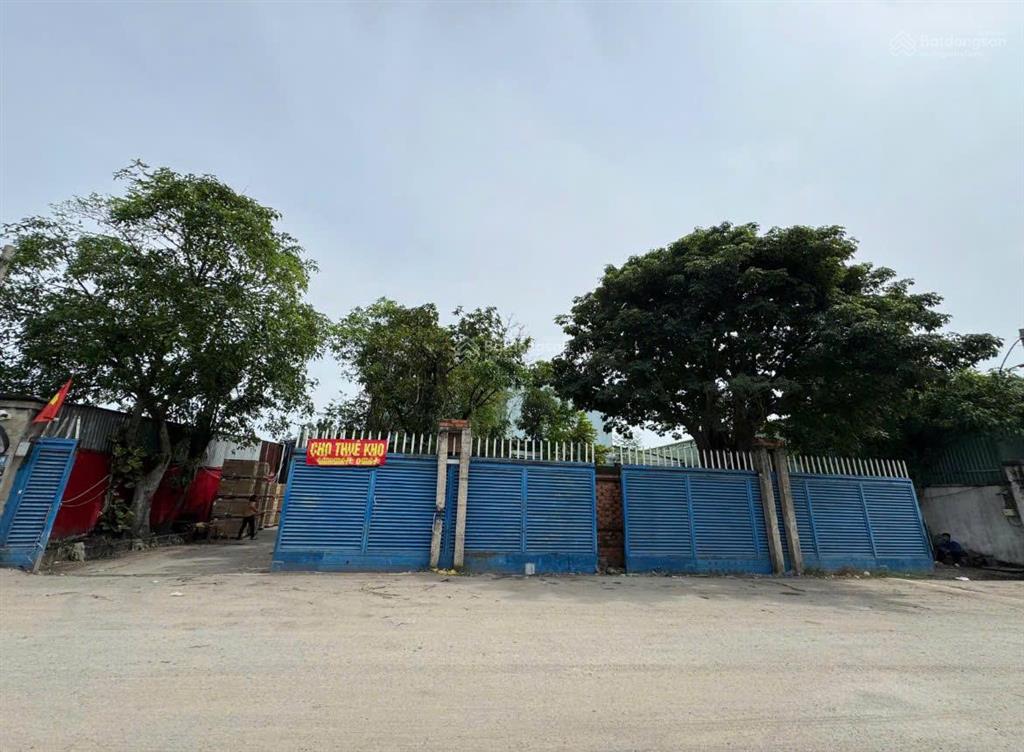 33x43m(1423m2) đất odt ngay tại lê trọng tấn (bhh). đường 10m, thích hợp làm cty kho xưởng, phân lô