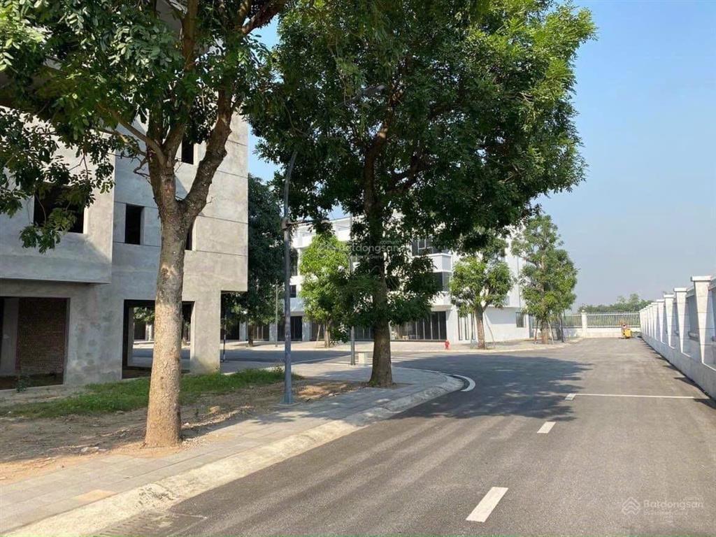 Bán biệt thự ecopark đẹp xuất sắc, 80m2, 4pn, 4wc, hướng đn