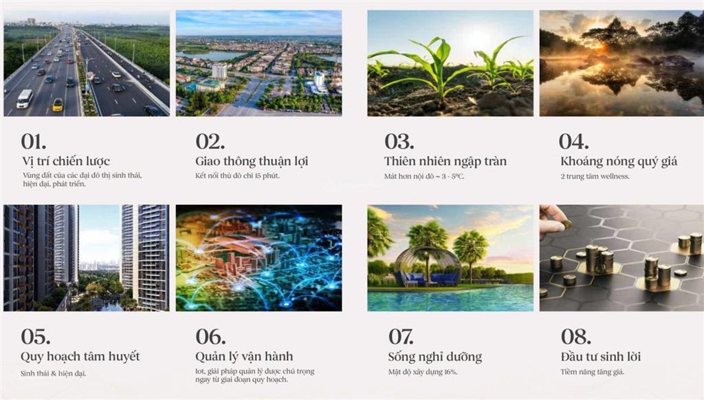 Hàng hot quỹ hàng 10 căn ngoại giao song lập dự án xuân cầu
