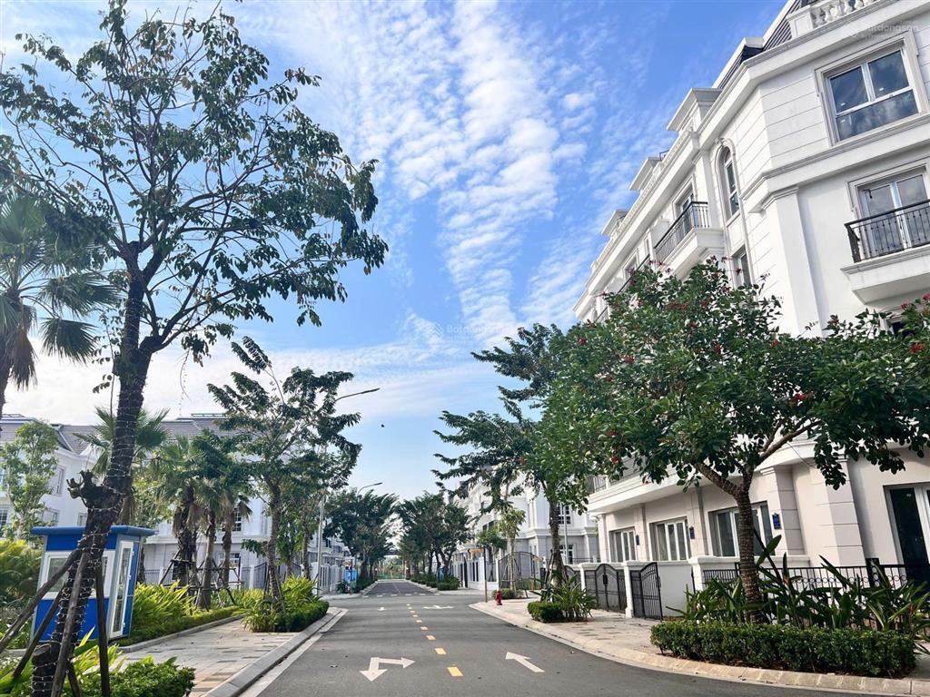 Căn góc duy nhất đường ban trắng