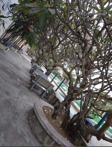 Bán khách sạn 20 phòng mt 95m võ thị sáu, long hải, long điền, bà rịa vũng tàu