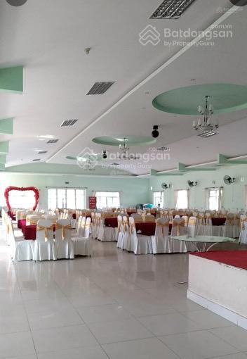 Bán khách sạn 20 phòng mt 95m võ thị sáu, long hải, long điền, bà rịa vũng tàu