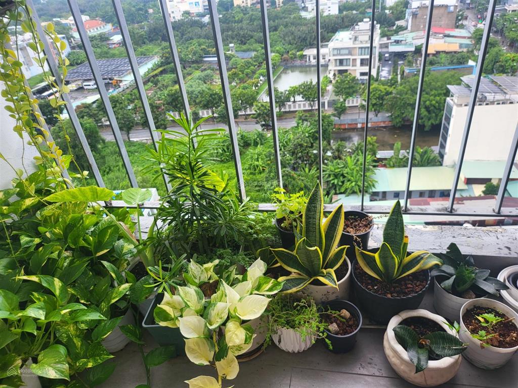Cho thuê cc hoàng quốc việt, 8 triệu, 54m2, 2pn, 1wc, full nội thất