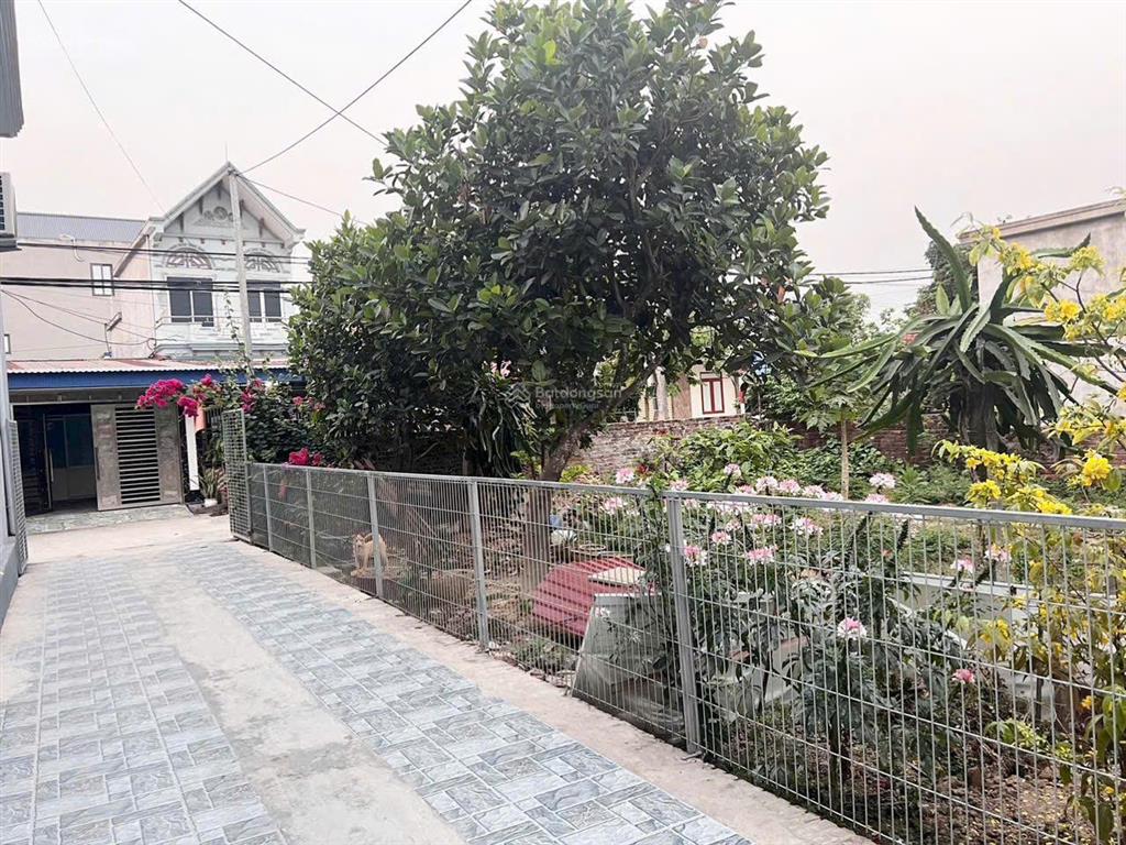 Trung tâm chợ hương lô đất 48m2 giá chỉ 1,4xx tỷ