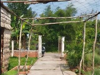 Bán Đất Thổ Cư 864m2 Sổ Hồng đường Nguyễn An Ninh Tân Quy Đông, Sa Đéc, Đồng Tháp, giá