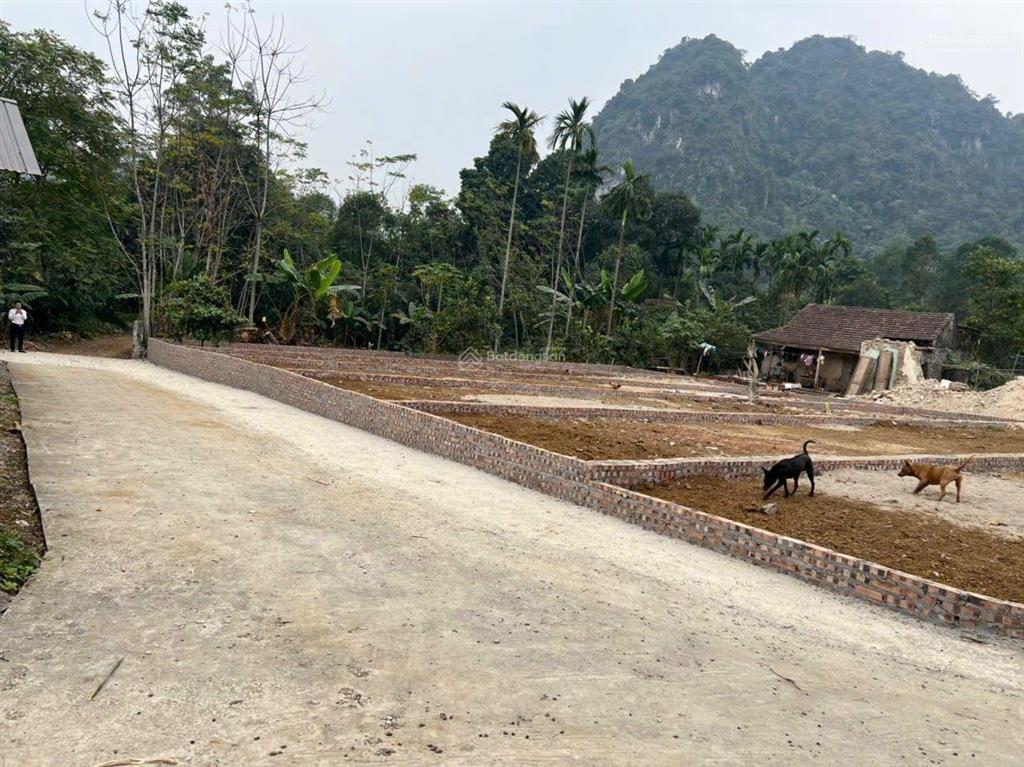 Chỉ hơn 500tr sở hữu ngay 120m đất đẹp tại cao dương lương sơn, sổ sẵn!