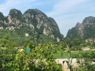 Chủ cần tiền cắt lỗ dt350m full thổ cư, sẵn sổ đỏ, chỉ hơn 1 tỷ .tại cao dương.phú thọ