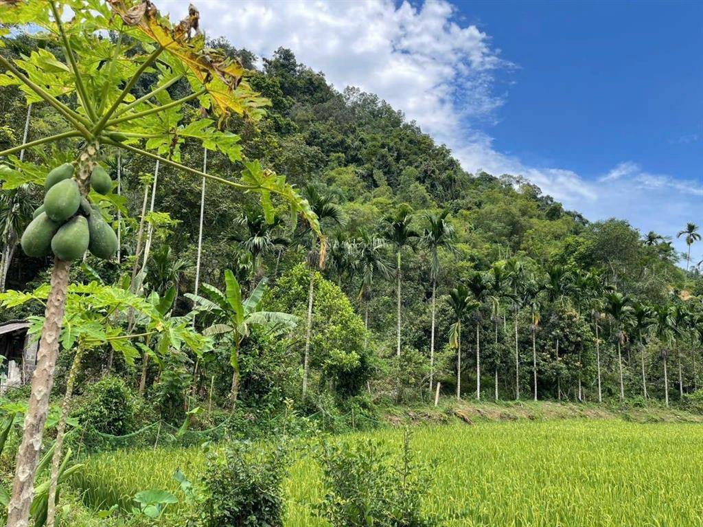 Bán lô đất 3.051m2 (2.000m2 thổ cư) view cực chill