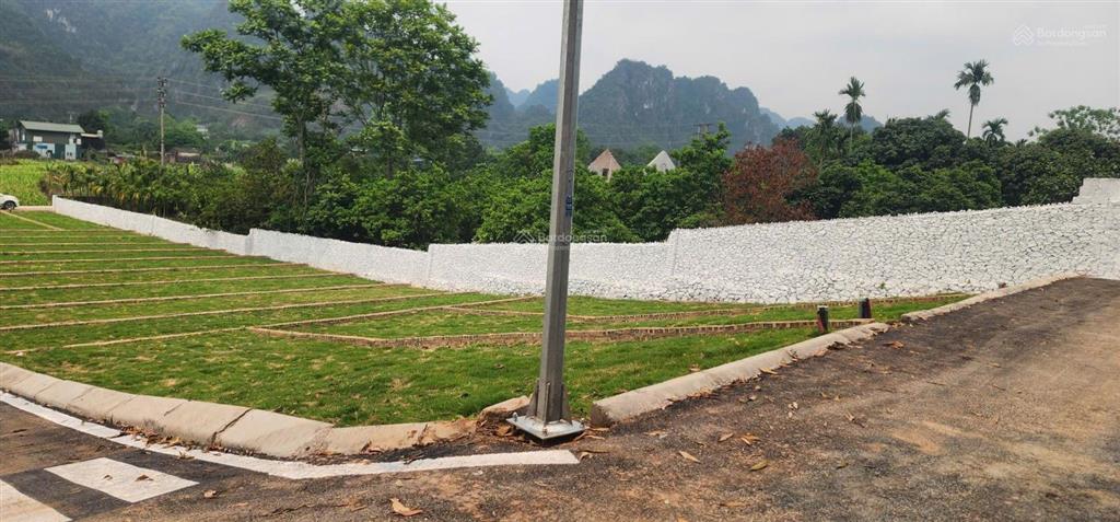 Cơ hội đầu tư đất lương sơn gần kcn thanh sơn, giá chỉ hơn 600tr