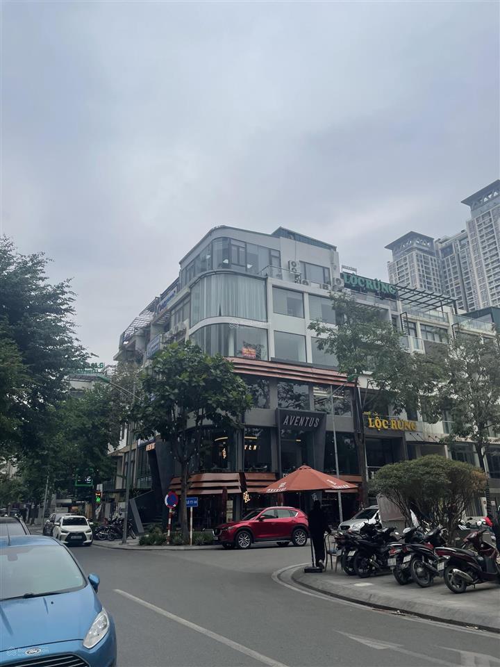 Biệt thự mon city, hàm nghi, 130m2 6 tầng, thang máy, kd vp, spa, phân lô vỉa hè, sổ đỏ đẹp