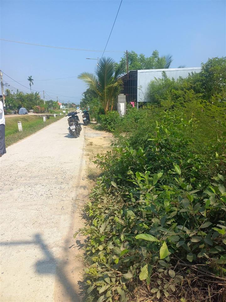 Đất ninh ích xã bắc ninh hoà khánh hòa. bê tông ô tô tận nơi đường thông. khu dân cư