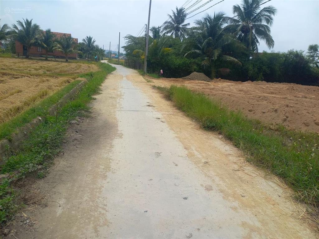 Bán đất tại xã ninh phụng, giá ưu đãi 369 triệu, 91.5m2