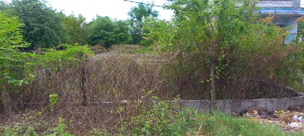 Bán đất 504,7m2 tại xã ninh an, thị xã ninh hòa, khánh hòa chỉ với 1,5 tỷ