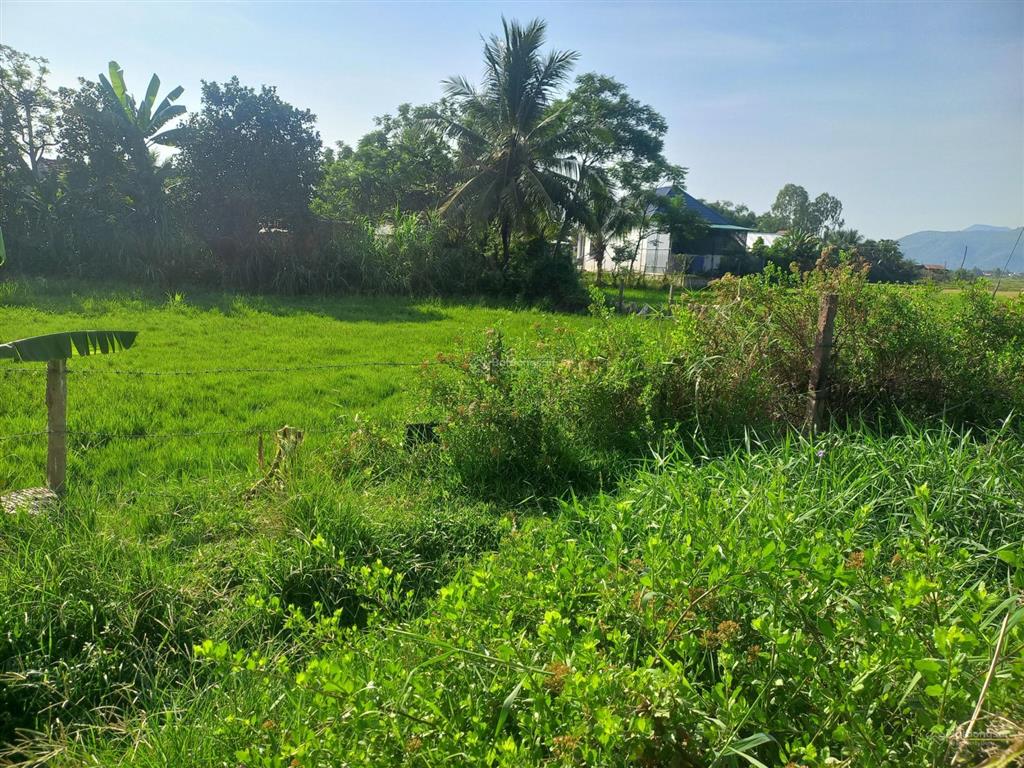 Bán đất thổ cư gần chợ, trường... tại thôn mỹ lợi, xã ninh lộc (cũ) nay là nam ninh