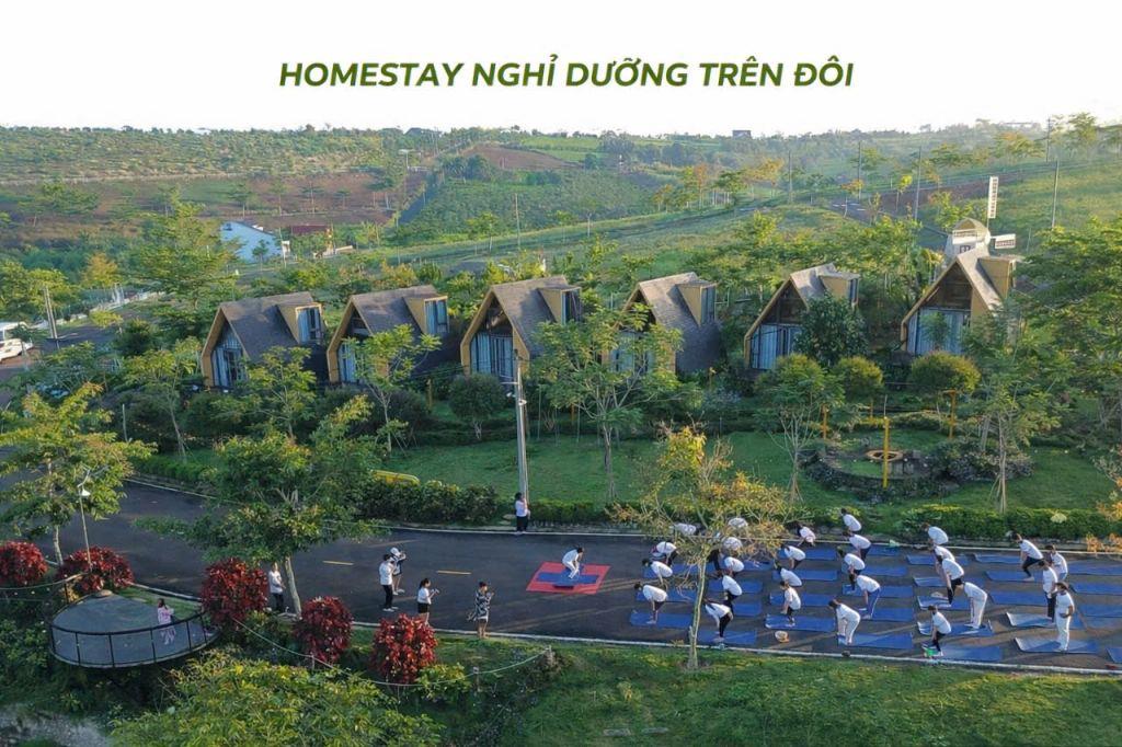 đất phường 2 bảo lộc view đồi thông