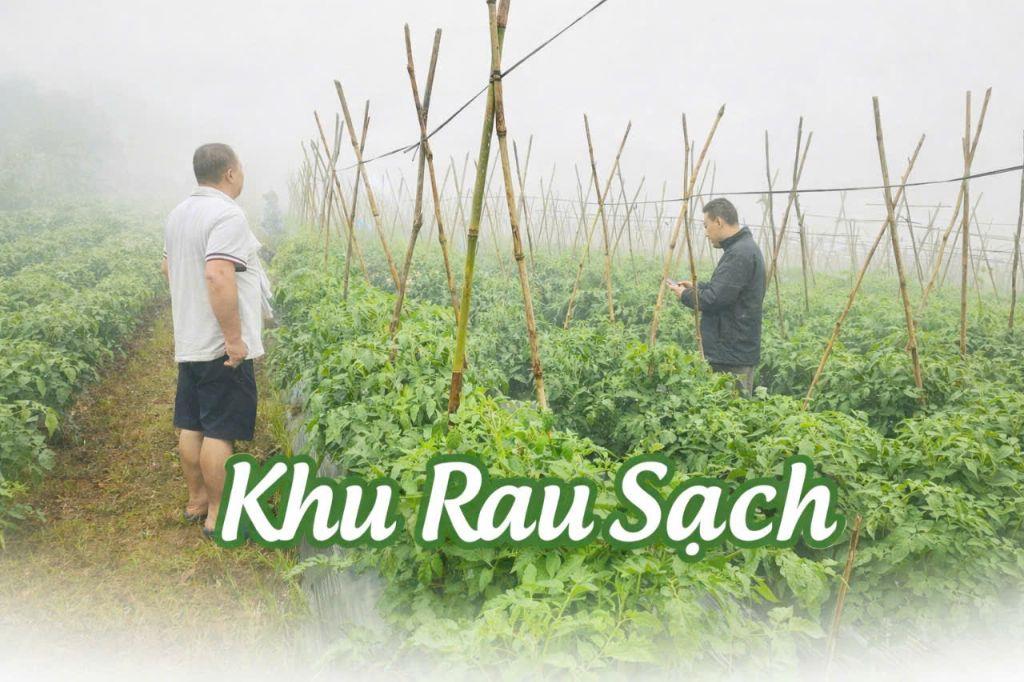 đất ngộp giá siêu rẻ chỉ 400 triệu có ngay lô đất 500m2 (Bảo Lộc)
