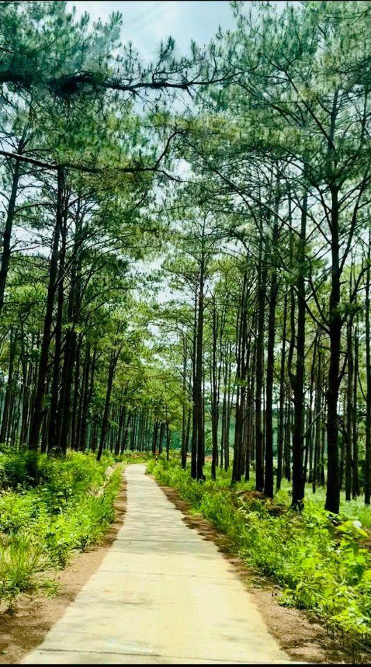 đất bảo lộc 1000m2 view hồ, suối giá chỉ 880 triệu