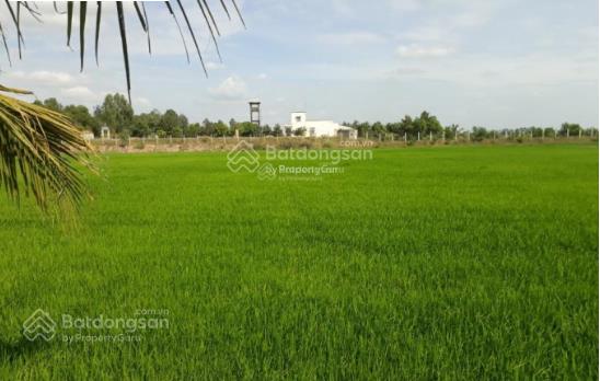 Bán thửa đất khủng mặt tiền ql61c phong điền cần thơ