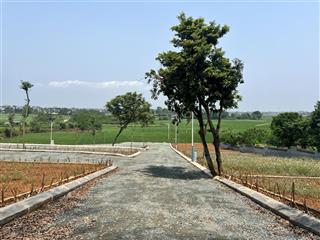 Hòa lạc đã 3x 4x, còn lô này mới 1x? không mua là lỡ sóng!