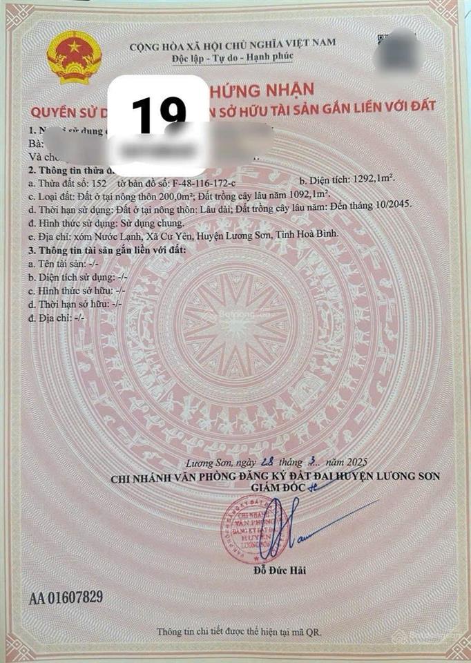 Hồ đồng chanh thủ phủ nghỉ dưỡng lương sơn giá vẫn còn siêu mềm