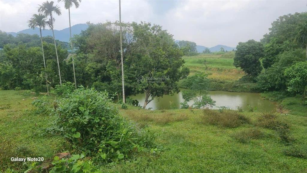 1524m2 tại yên trung cộng thêm 749m2 nuôi trồng thủy sản giá rẻ